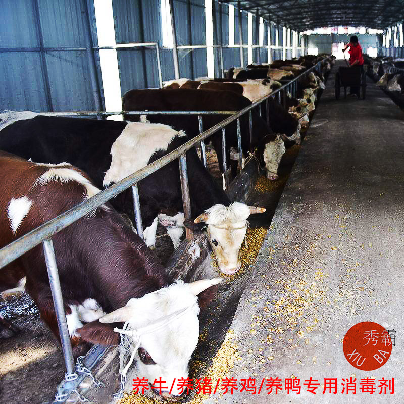 二氧化氯消毒粉【畜牧養(yǎng)殖】產(chǎn)品展示圖3