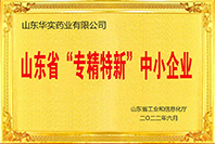 山東省專精特新中小企業