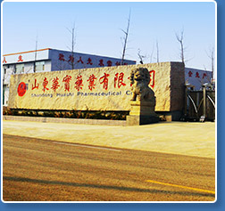 山東華實藥業公司廠房外景