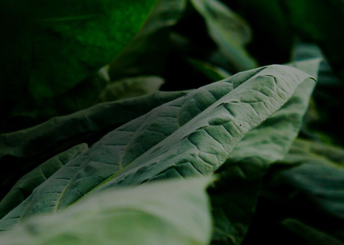 Sustainability insights