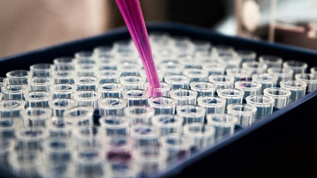 Test tubes being filled with a purple liquid.
