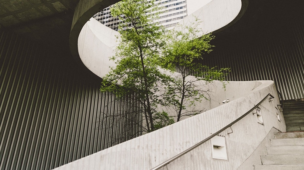 A tree growing surrounded by a concrete circular stairway in a city