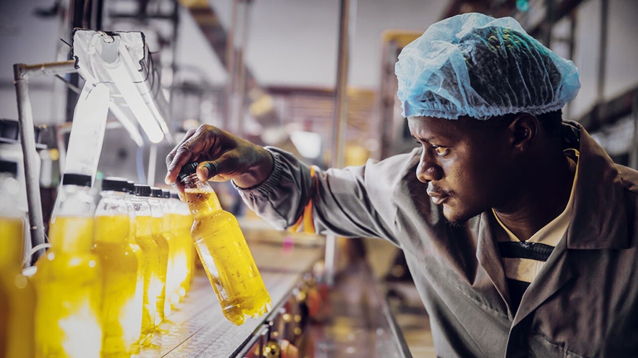 Man inspecting bottles in factory 
