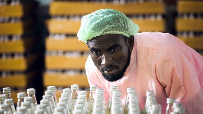 Man inspecting bottles 