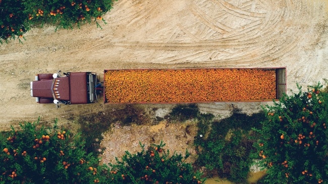 Partners in growth: Maersk 4PL for San Miguel