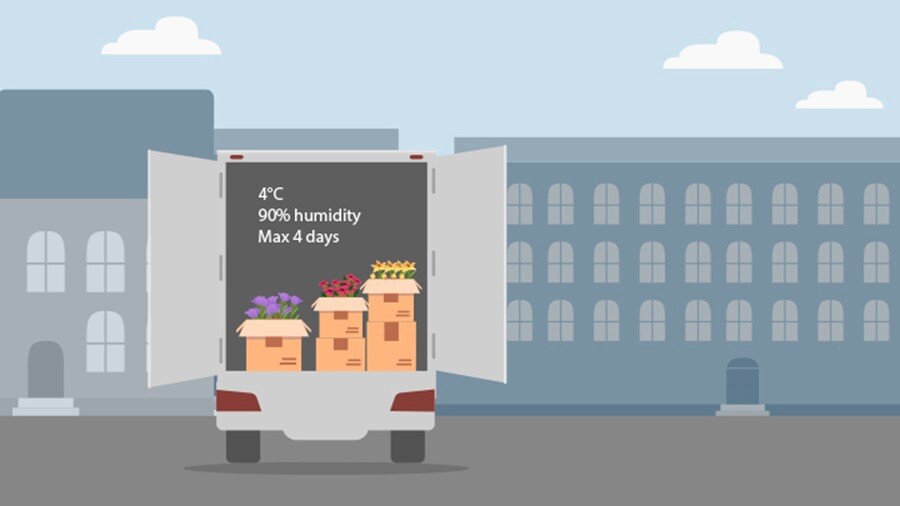 In the wake of Brexit, why is customs so critical for your integrated supply chain?